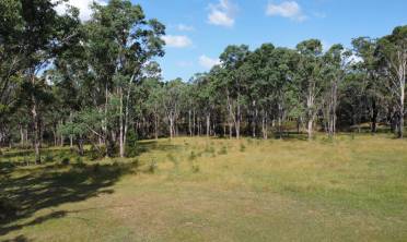 Walker commits to major conservation plan at Future Appin